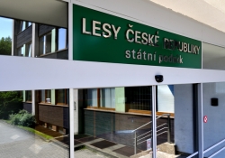 Policie obvinila čtyři lidi z praní špinavých peněz z Lesů ČR