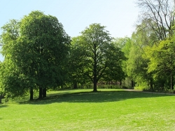 Studenti obnoví v Praze 10 cyklopark