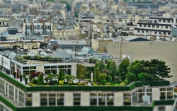 V boji proti horku ve městech  pomáhají zelené střechy a fasády