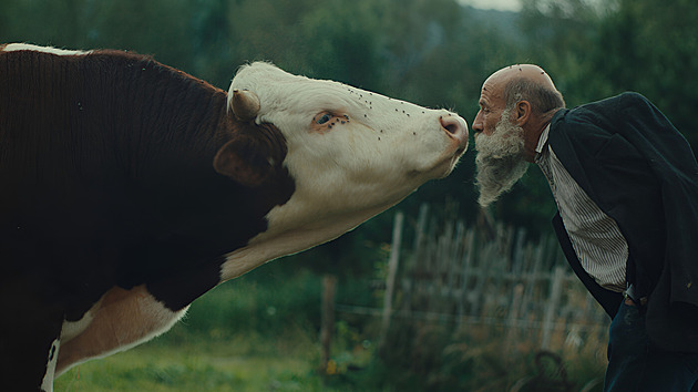 RECENZE: Když už zešílet v divočině, tak jedině takto. Ve dvou, hravě a s vtipem
