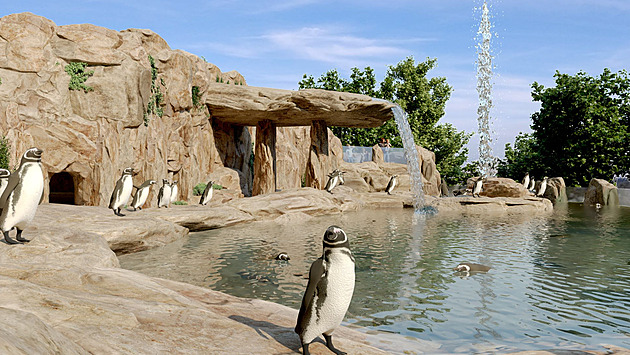Tučňáci poprvé v ostravské zoo. Ohrožený druh dostane skály, pláže i bazén