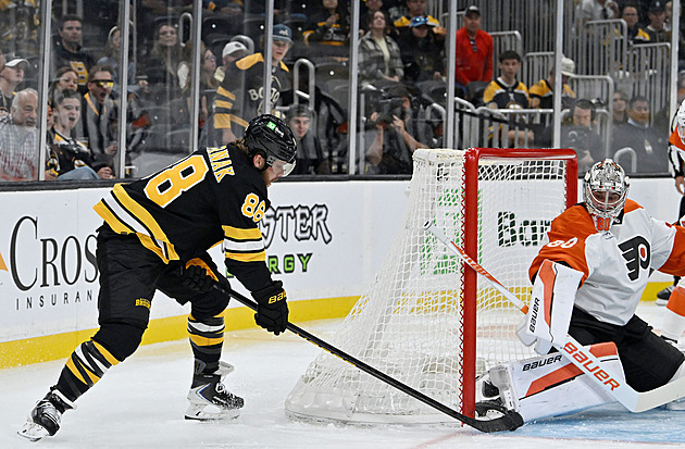 Pastrňák s Gudasem bodovali, do akce šli tři čeští gólmani NHL