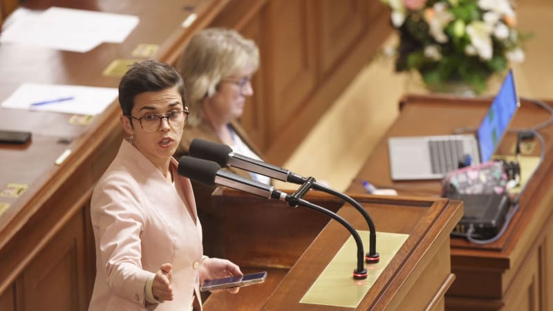 ON-LINE ze Sněmovny: Piráti bez výborů? Trest za klepání Babiše přes prsty, řekla Richterová