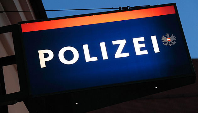 Těla pohřešované matky a její dcery našli v mrazáku. Podezřelý tvrdil, že šlo o nehodu