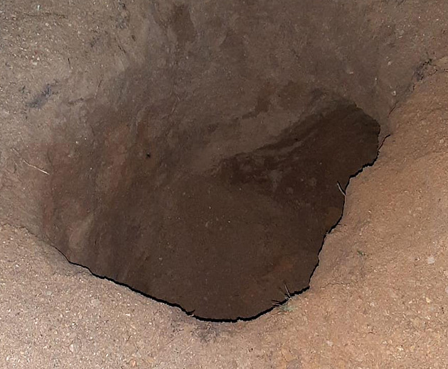 Kopáči vltavínů v lese narazili, muž na ně vytáhl zbraň a začal střílet