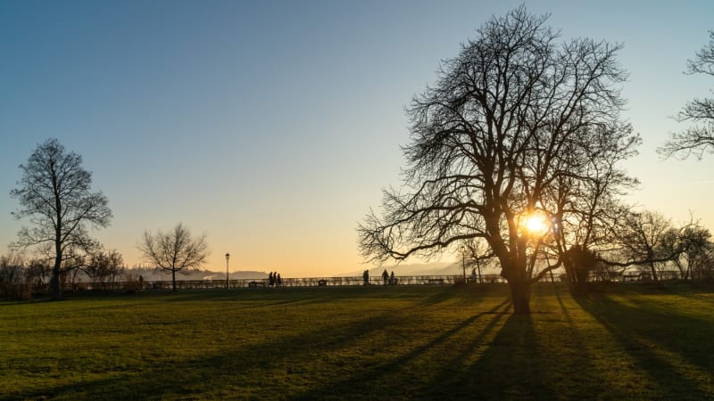 V Česku padlo čtrnáct teplotních rekordů. Na Mostecku bylo téměř patnáct stupňů