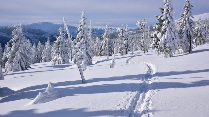 Mráz z Ruska brzy zasáhne Česko. MAPA sněhu ukazuje, kde čekat bílou nadílku na Silvestra