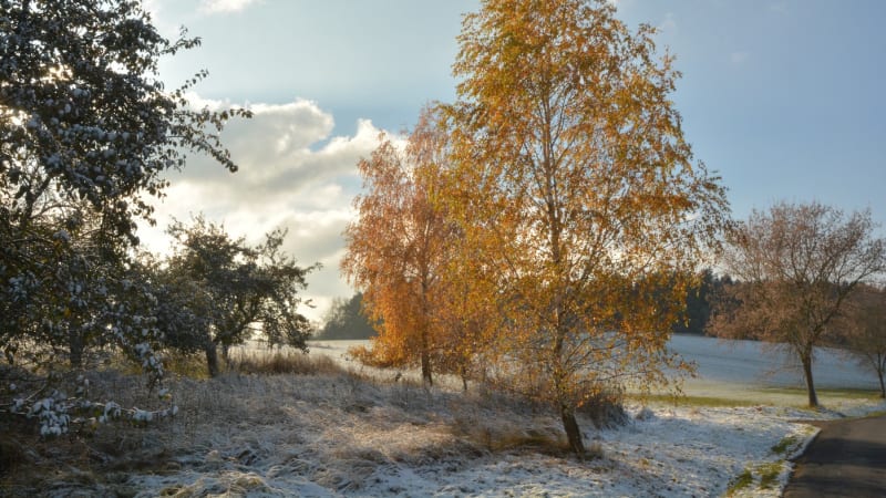 Mrazivá noc v Česku: Na Kvildě klesly teploty k -30 stupňům. Blíží se sněhová nadílka