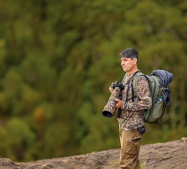 „Plašicí“ siluety ptáků jsou k ničemu, některé druhy spíš přitahují, říká ornitolog