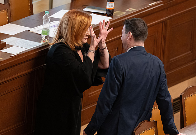 Poslanci dokončili debatu o rozpočtu. Stovky milionů korun přidají sportu