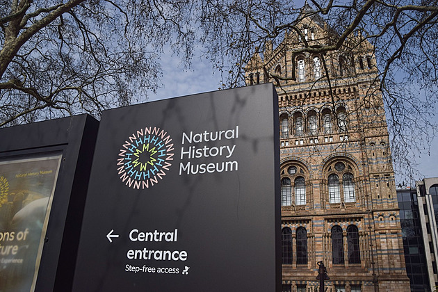 Muzea zdarma v ohrožení. Anglie zvažuje vstupné pro zahraniční návštěvníky