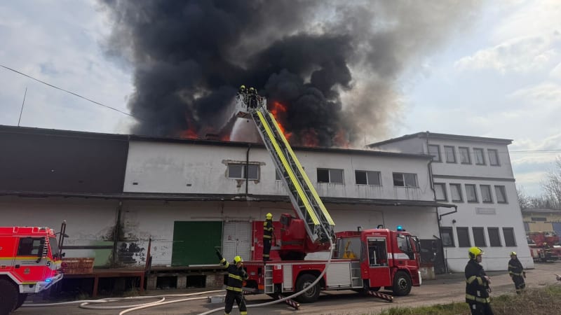 Na pražském Žižkově hoří ubytovna, hasiči zevnitř evakuují lidi